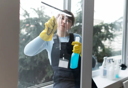 Nettoyage de vitres intérieures et extérieures à Buzy